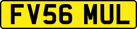 FV56MUL