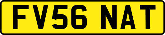 FV56NAT