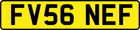 FV56NEF