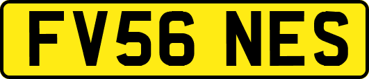 FV56NES