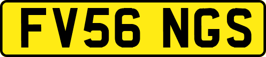 FV56NGS