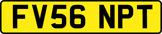 FV56NPT