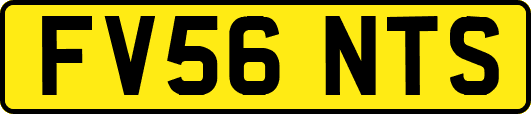 FV56NTS
