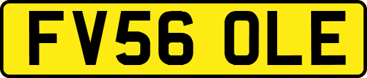 FV56OLE