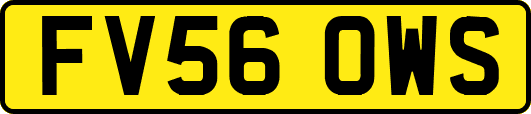 FV56OWS