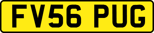 FV56PUG