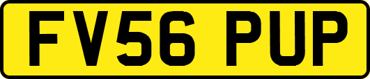 FV56PUP