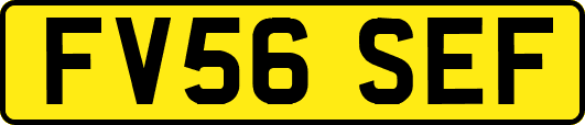 FV56SEF