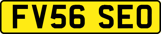 FV56SEO