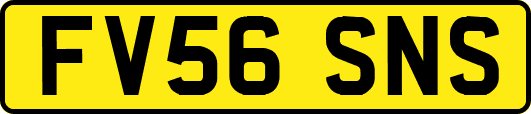 FV56SNS