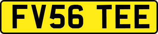 FV56TEE