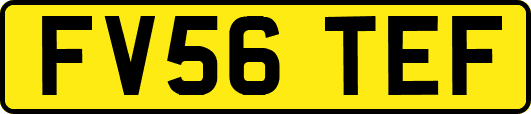 FV56TEF