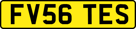 FV56TES