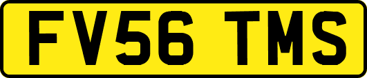 FV56TMS