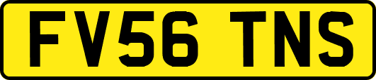 FV56TNS