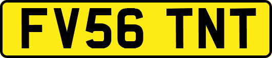 FV56TNT