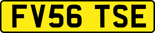 FV56TSE