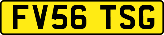 FV56TSG