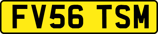 FV56TSM