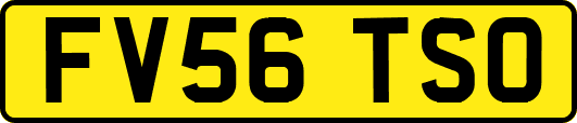 FV56TSO