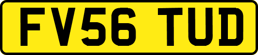 FV56TUD
