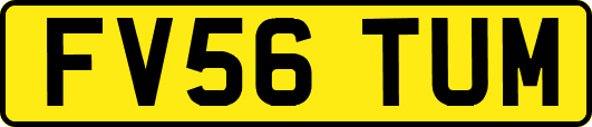 FV56TUM