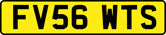 FV56WTS