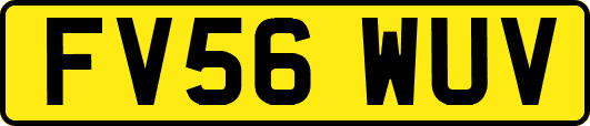 FV56WUV