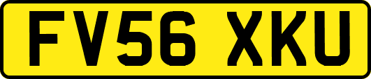 FV56XKU