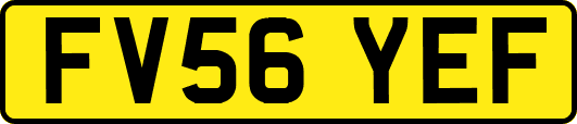 FV56YEF