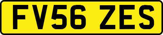 FV56ZES