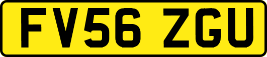 FV56ZGU