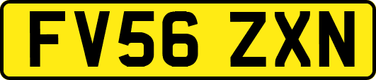FV56ZXN