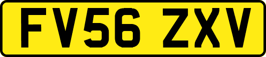 FV56ZXV