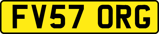 FV57ORG