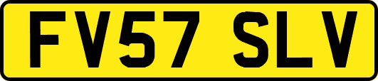 FV57SLV