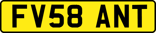 FV58ANT