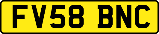 FV58BNC