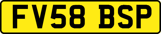 FV58BSP