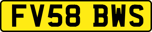 FV58BWS