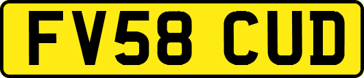 FV58CUD