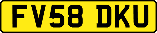 FV58DKU