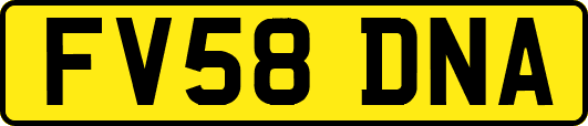 FV58DNA