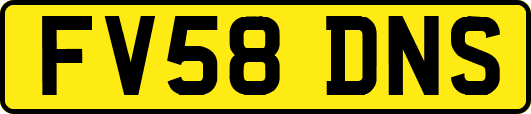 FV58DNS