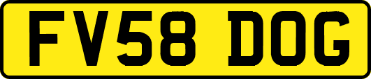 FV58DOG