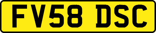 FV58DSC