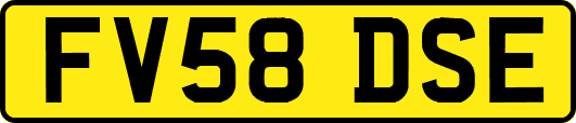 FV58DSE