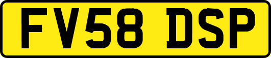 FV58DSP