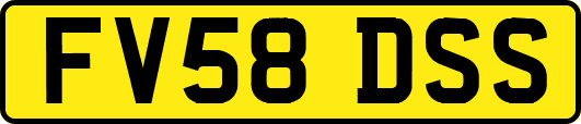 FV58DSS