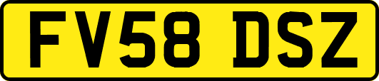 FV58DSZ